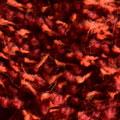 1544 rosso